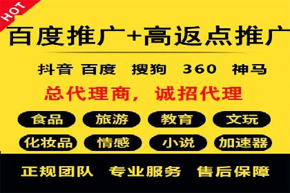 百度竞价广告投放成功案例解析